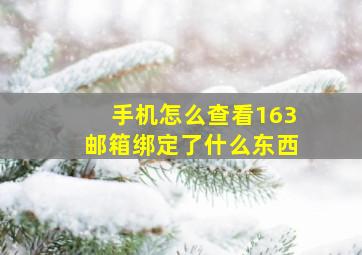 手机怎么查看163邮箱绑定了什么东西