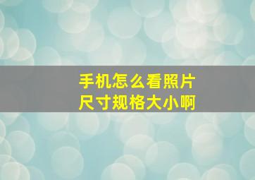 手机怎么看照片尺寸规格大小啊