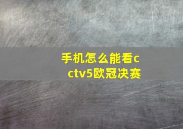 手机怎么能看cctv5欧冠决赛