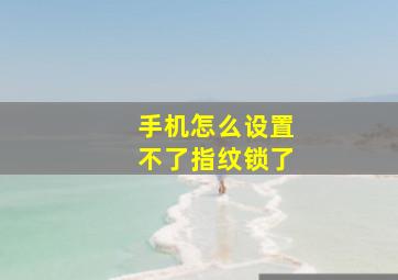 手机怎么设置不了指纹锁了