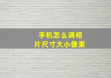 手机怎么调相片尺寸大小像素