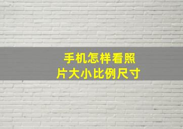 手机怎样看照片大小比例尺寸