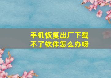 手机恢复出厂下载不了软件怎么办呀