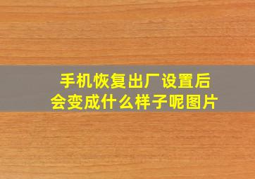 手机恢复出厂设置后会变成什么样子呢图片