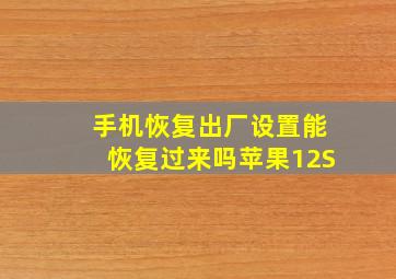 手机恢复出厂设置能恢复过来吗苹果12S