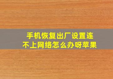 手机恢复出厂设置连不上网络怎么办呀苹果