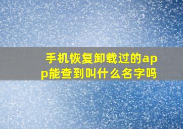 手机恢复卸载过的app能查到叫什么名字吗