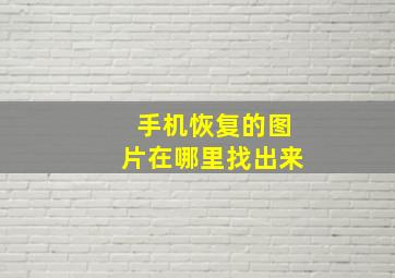 手机恢复的图片在哪里找出来