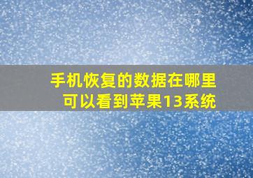 手机恢复的数据在哪里可以看到苹果13系统