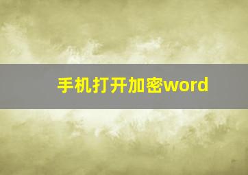 手机打开加密word