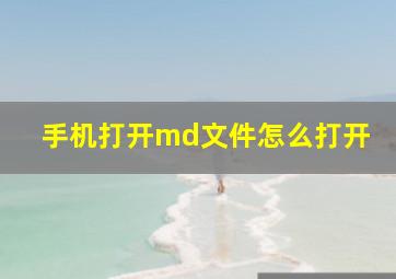 手机打开md文件怎么打开