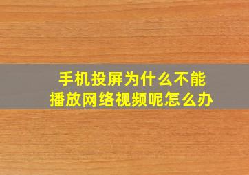 手机投屏为什么不能播放网络视频呢怎么办