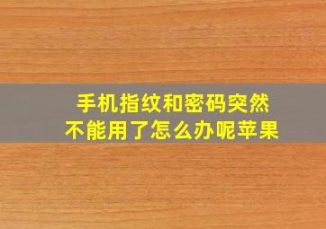 手机指纹和密码突然不能用了怎么办呢苹果