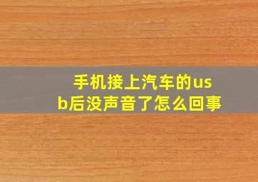 手机接上汽车的usb后没声音了怎么回事