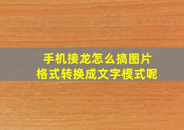 手机接龙怎么搞图片格式转换成文字模式呢