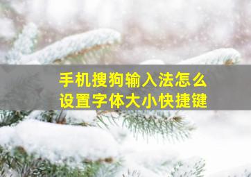 手机搜狗输入法怎么设置字体大小快捷键