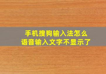 手机搜狗输入法怎么语音输入文字不显示了