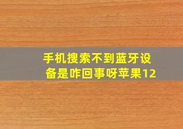 手机搜索不到蓝牙设备是咋回事呀苹果12