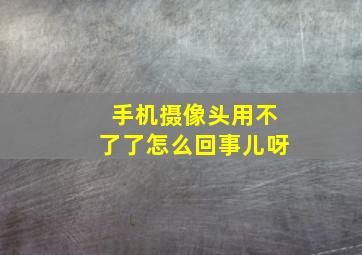 手机摄像头用不了了怎么回事儿呀