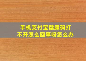 手机支付宝健康码打不开怎么回事呀怎么办