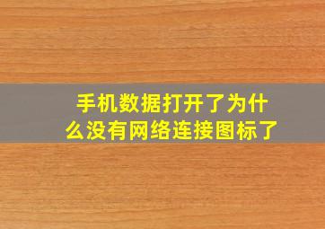 手机数据打开了为什么没有网络连接图标了