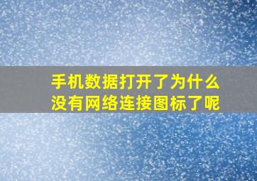 手机数据打开了为什么没有网络连接图标了呢