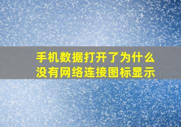 手机数据打开了为什么没有网络连接图标显示