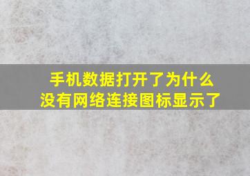 手机数据打开了为什么没有网络连接图标显示了