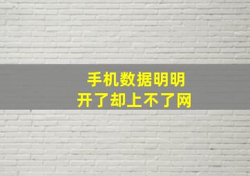 手机数据明明开了却上不了网