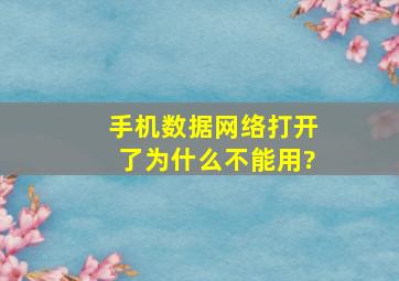 手机数据网络打开了为什么不能用?