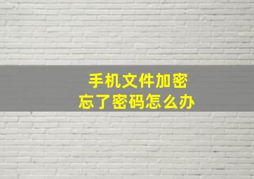 手机文件加密忘了密码怎么办