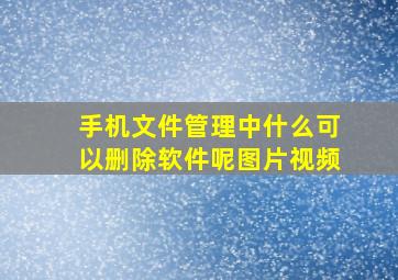 手机文件管理中什么可以删除软件呢图片视频