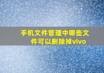 手机文件管理中哪些文件可以删除掉vivo