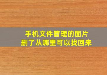 手机文件管理的图片删了从哪里可以找回来