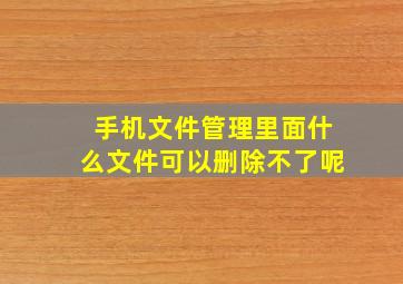 手机文件管理里面什么文件可以删除不了呢