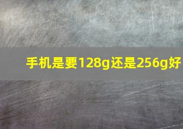 手机是要128g还是256g好