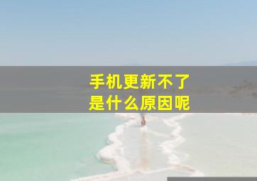 手机更新不了是什么原因呢