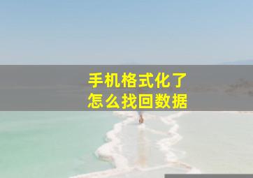 手机格式化了怎么找回数据