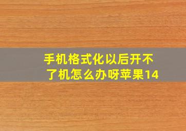 手机格式化以后开不了机怎么办呀苹果14