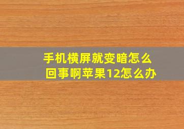 手机横屏就变暗怎么回事啊苹果12怎么办