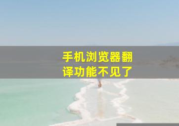 手机浏览器翻译功能不见了