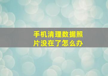 手机清理数据照片没在了怎么办