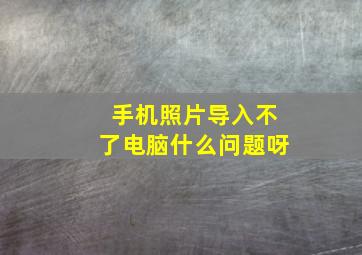 手机照片导入不了电脑什么问题呀