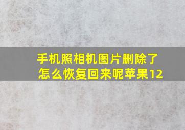 手机照相机图片删除了怎么恢复回来呢苹果12