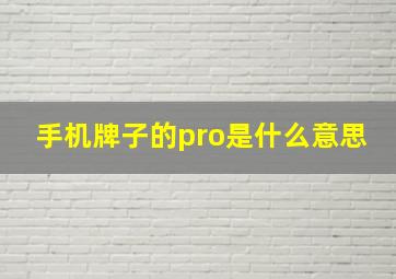 手机牌子的pro是什么意思