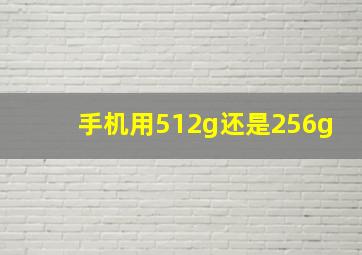 手机用512g还是256g