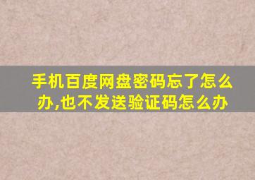 手机百度网盘密码忘了怎么办,也不发送验证码怎么办