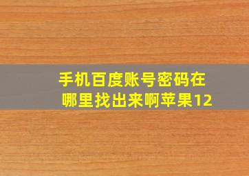 手机百度账号密码在哪里找出来啊苹果12