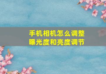 手机相机怎么调整曝光度和亮度调节