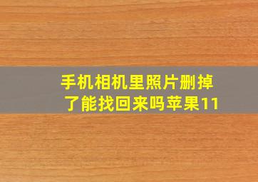 手机相机里照片删掉了能找回来吗苹果11